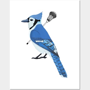 Lacrosse Blue Jay Posters and Art